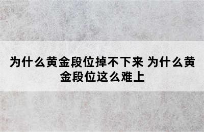 为什么黄金段位掉不下来 为什么黄金段位这么难上